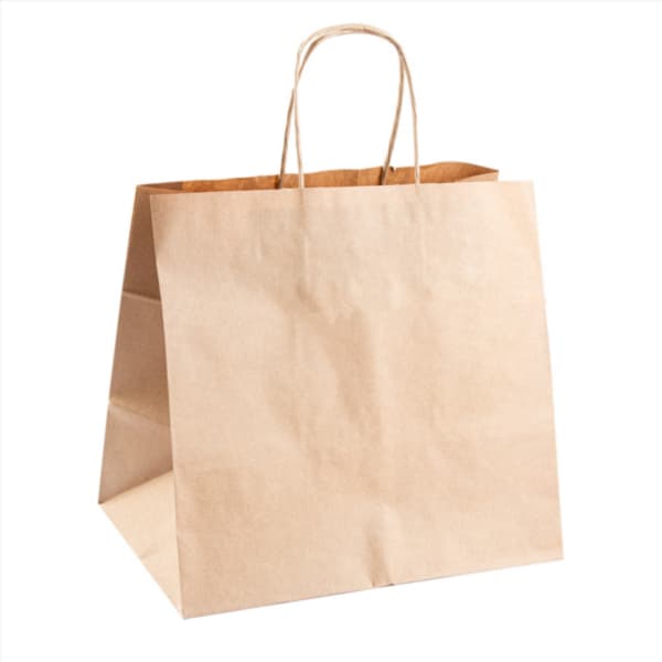 Bolsa Papel Asas Eco 26x17x24